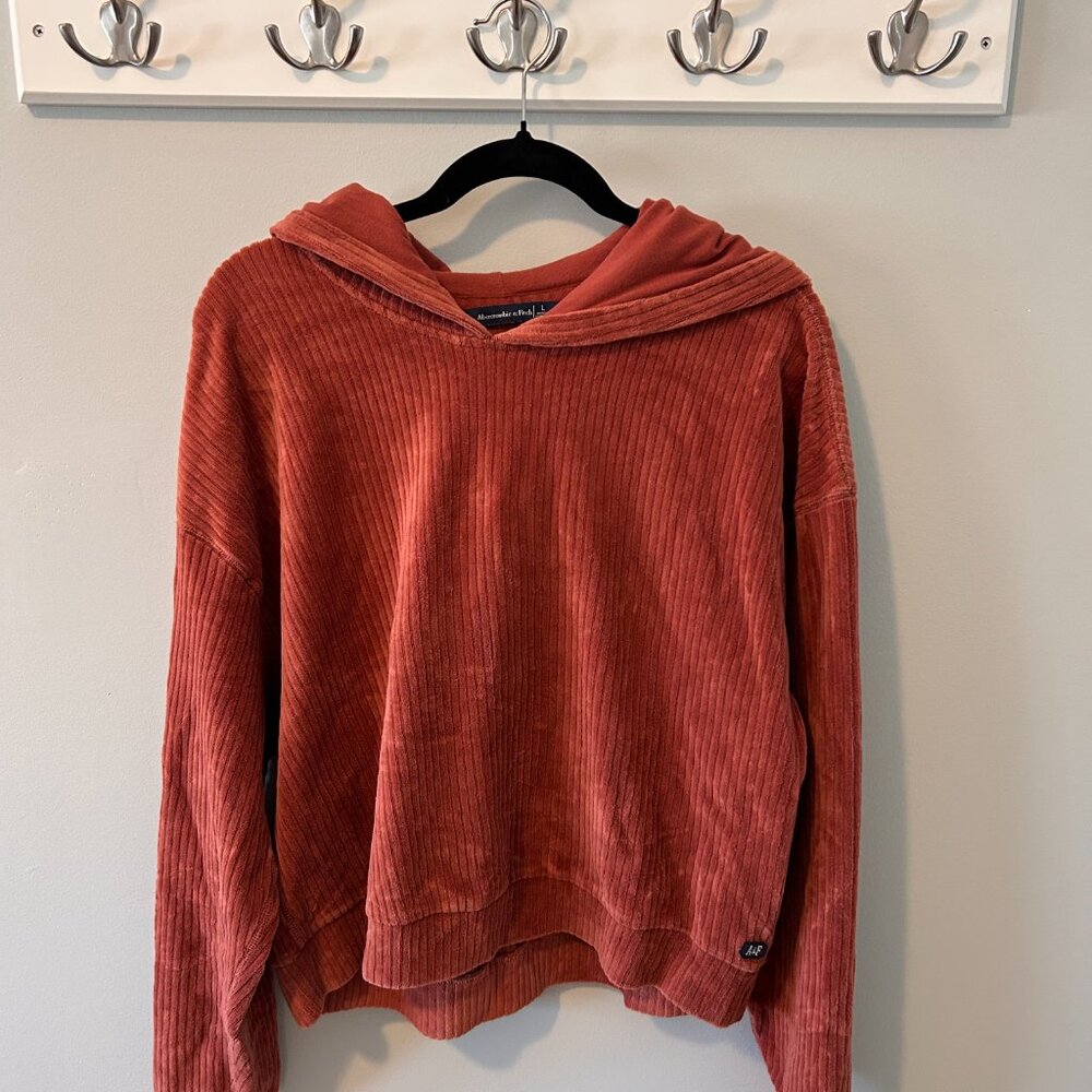 A&F Velvet Sweatshirt